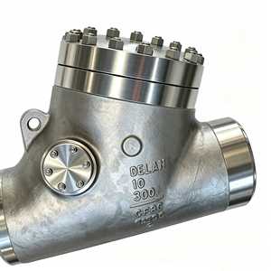Válvula de Retención de Metal CF8C para Control de Flujo de Agua, Válvula de Retención de Acero Inoxidable de 10 Pulgadas - Product Image 4