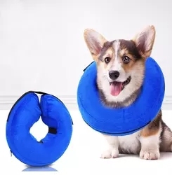 ราคาโรงงานพองนุ่มสบายทางเลือกสัตว์เลี้ยงกู้คืนปลอกคอสำหรับสุนัขและแมว - Product Image 2