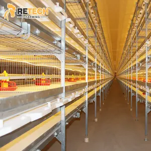 טכנולוגיה חדשה עמיד מוערם גידול פטם עוף כלוב