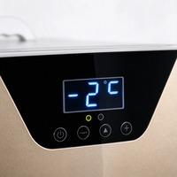 Kulkas Mini 22L, Kulkas Kosmetik, Kulkas Perawatan Kulit, Layar Digital, Pendingin Semikonduktor Dual Core, AC DC untuk Asrama, Mobil, Makeup