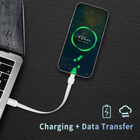 Câble de charge portable en TPE pour bracelet, cordon de données USB portable avec connecteur USB-C en option pour iPhone, Galaxy, tablette
