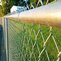 Puertas y Cercas de Malla Metálica Galvanizadas y Recubiertas de PVC, Personalizadas, Impermeables, Fáciles de Montar, para Campos Deportivos y Construcción