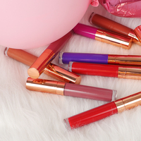 Maquillage rouge à lèvres vegan étanche, durée de vie, liquide mat, avec boîte cadeau disponible