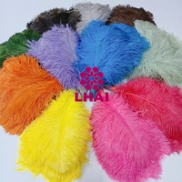 Couleurs teintées 16-18 ''40-45cm plumes de queue de plume d'autruche Plumas pour vêtement de mariage robe accessoire fête Festival carnaval