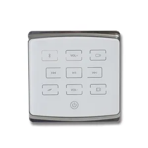 L'amplificatore per montaggio a parete Touch Blue-tooth di alta qualità T Smart Home supporta l'amplificatore da parete Bluetooth USB con scheda TF