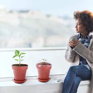 Macetas de vivero de plantas suculentas con cúpula de humedad, pequeñas macetas de plástico con platillos y <span class=keywords><strong>pala</strong></span>, 80 Uds. - Product Image 6