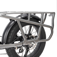 750 Watt Moteur Fat Tire Cargo E-bike Fat Tire Step Through E Bike Vélo électrique de ville