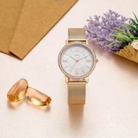 Reloj de Pulsera de Lujo para Mujer, Personalizado, de Acero Inoxidable, con Malla, Esfera de Cuarzo, Cristal, Caja de Aleación, Accesorio de Moda