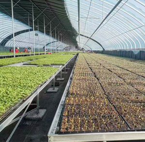 Lit mobile de culture de légumes <span class=keywords><strong>sur</strong></span> roulettes avec <span class=keywords><strong>pieds</strong></span> réglables pour l'agriculture de contour - Product Image 4