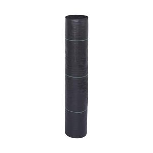 Film de paillage agricole perforé en PE noir avec service de découpe 70-250 g/m² pour le contrôle des mauvaises herbes dans les jardins et les légumes - Product Image 1