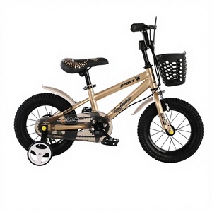 <span class=keywords><strong>Vélo</strong></span> pour enfants de 12, <span class=keywords><strong>14</strong></span> et 16 <span class=keywords><strong>pouces</strong></span>, cadre en acier argenté, pneus antidérapants, <span class=keywords><strong>vélo</strong></span> pour enfants de 3 à 12 ans, garçons, filles, tout-petits - Product Image 3
