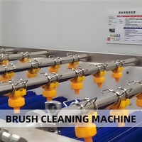 Multi Functionele Mango Fruit Verwerkingslijn Fabrikant 1 T/h Pet Fles Mango Pulp Maken Machine Citroen Productielijn