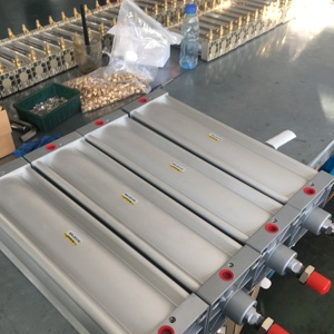 Cilindro Pneumatico Personalizzato Non Standard, Standard ISO15552 ISO6431, Fabbrica Professionale OEM ODM, Corea del Sud, Distribuzione Mondiale - Product Image 2