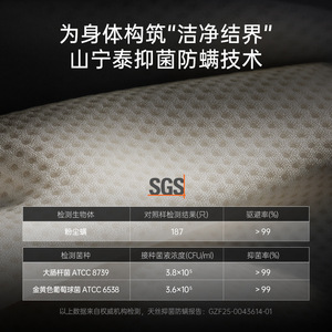 ที่นอนสปริงเวสติ้งเฮาส์ S9 หนา 28 ซม. แน่น 0 กาว สปริงแยกอิสระ สำหรับบ้านและห้องนอน - Product Image 3