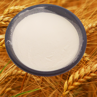 Poudre de Collagène Peptidique de Protéine de Blé Pure en Gros, Hydrolysée, Végétalienne, Oligopeptides, Enrichie en Glutamine, Facile à Absorber, OEM ODM