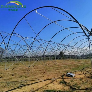 <span class=keywords><strong>Serre</strong></span> tunnel en polyfilm pour la culture des myrtilles en agriculture - Product Image 4