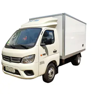Camion furgone frigorifero con unità Thermo King, mini camion furgone reefer per la consegna di frutta e cibi surgelati