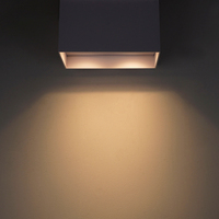 Luminaire encastré LED pour intérieur 25 ° Ajustable pour 2xGU10 en aluminium pur L200xW100xH115mm