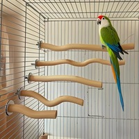 Perchoir Courbé en Bois Naturel Massif pour Perroquets avec Vis et Écrou - Jouet Interactif Durable pour le Mastication
