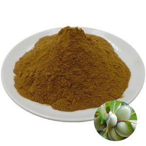 Extracto <span class=keywords><strong>de</strong></span> Hierbas <span class=keywords><strong>de</strong></span> Grado Alimenticio ISO22000 al Mejor <span class=keywords><strong>Precio</strong></span>, Vitamina 10:1, Extracto <span class=keywords><strong>de</strong></span> Corteza <span class=keywords><strong>de</strong></span> Terminalia Catappa Puro, Natural y Orgánico en Polvo - Product Image 1