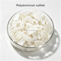 Poudre de sulfate de polyaluminium pour le traitement des eaux usées de teinture textile et la clarification de l'eau