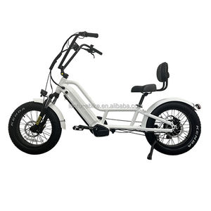 Personnalisé 20 pouces 2 <span class=keywords><strong>roues</strong></span> 48v batterie au lithium 750w <span class=keywords><strong>vélo</strong></span> <span class=keywords><strong>couché</strong></span> - Product Image 5