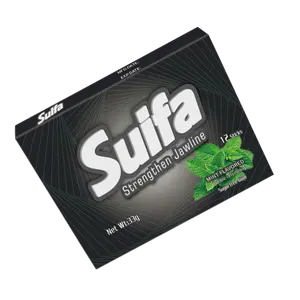 Factory price 12 sticks natural peppermint spearmint fruit halal chewing gum