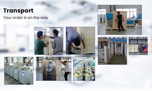 El tarro anaeróbico BIOBASE de China es un contenedor de laboratorio especializado diseñado para crear un ambiente libre de oxígeno - Product Image 5