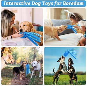 Büyük köpekler için Hotsale dayanıklı mavi ahtapot dolması Chew oyuncak interaktif peluş sesli evcil hayvan oyuncağı - Product Image 4
