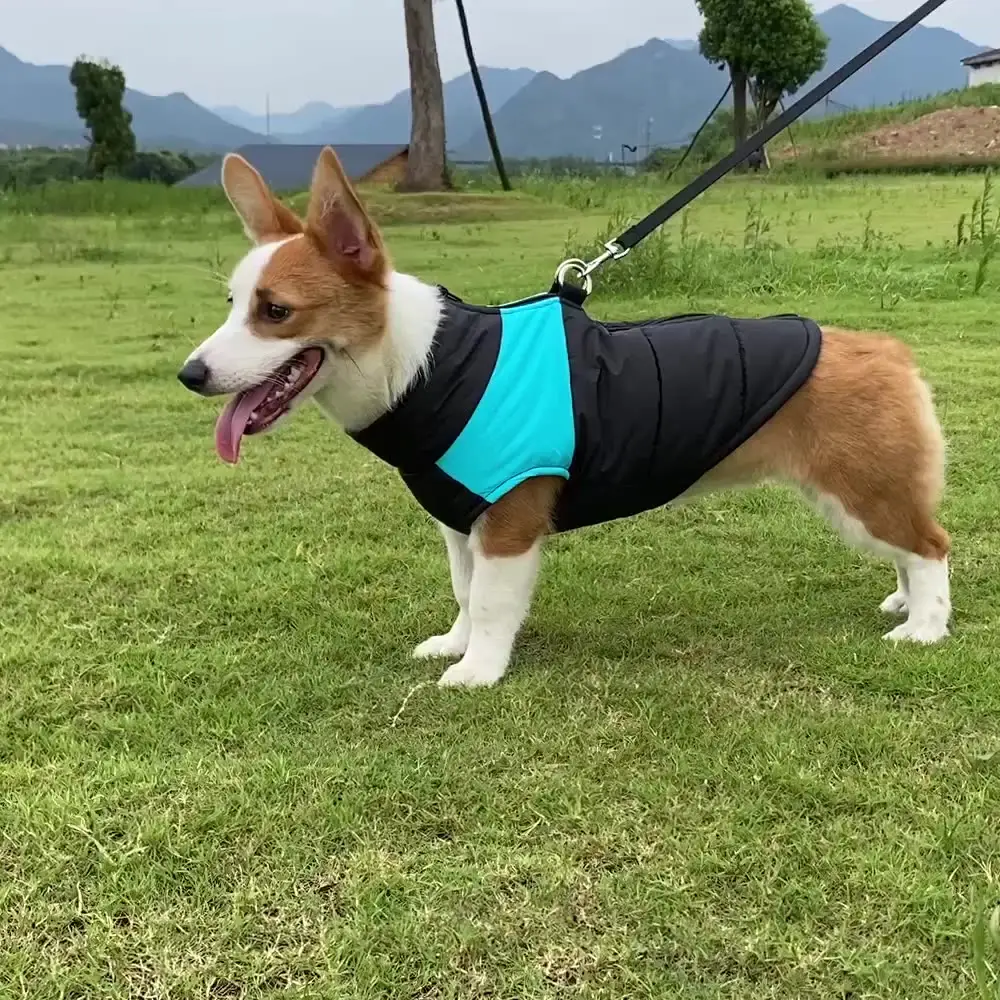 Manteaux de sport rembourrés imperméables et coupe-vent pour l'extérieur, vêtements chauds pour animaux de compagnie, veste réfléchissante pour grand chien, vêtements d'hiver