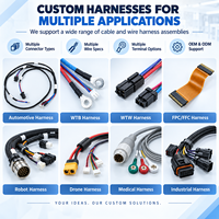 Harnais de câblage électrique personnalisé OEM avec borne annulaire pour équipement automobile, moto et industriel