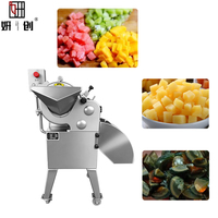 Automatische groente- en fruit snijmachine voor huishoudelijk gebruik, geschikt voor wortelen en uien.