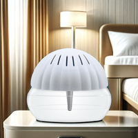 Humidificateur portable mini 300 ml avec lumière LED, diffuseur d'huiles essentielles à brume froide pour hôtel et voiture