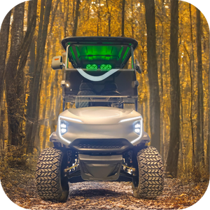 รถกอล์ฟสำหรับล่าสัตว์ระบบไฟฟ้าลิเธียม4ล้อหรูหรา4.5KW โรงงาน - Product Image 2