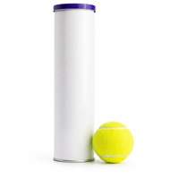Balles de tennis d'entraînement en feutre durable Voilax, haute élasticité, pour intérieur et extérieur, logo personnalisé, vente en gros disponible, tube de 4