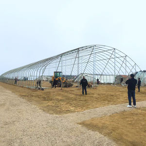 Kit <span class=keywords><strong>de</strong></span> serre commerciale Semis <span class=keywords><strong>de</strong></span> légumes à portée unique Cadre agricole Film plastique Tunnel Serre <span class=keywords><strong>de</strong></span> fraises à vendre - Product Image 4