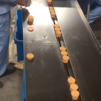 Machine d'emballage automatique entièrement automatique de tri de biscuits de couche de biscuit de gaufrette de sandwich