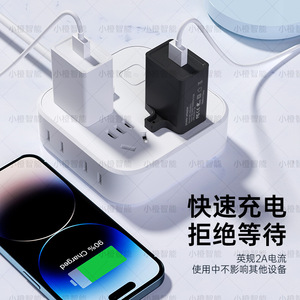 Rice 5V 2A Us Standard Charger <b>USB</b> Power Adapter For Mobile Phones Small Appliance Charging <b>Plug</b> White And Black - Product Image 3