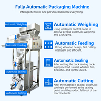 Machine d'emballage verticale entièrement automatique à double tête pour granulés de snacks, avec remplissage d'azote