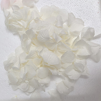 Pétales de rose véritable préservés de haute qualité, couleur blanc rose, éternels pour mariage, Saint-Valentin, remise de diplôme, Nouvel An, Noël
