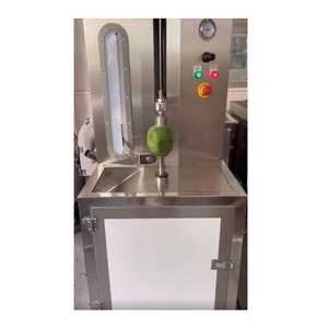 Pelador de piña automático, <span class=keywords><strong>lavadora</strong></span> de patatas, precio más barato - Product Image 6