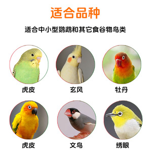 Alimento para Loros, Mezcla de Granos para Conures, Periquitos, Cacatúas, Aves Peony, Nutrición a Base de Mijo, Tamaño a Granel - Product Image 3