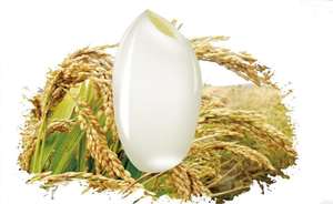 Çin fabrika pirinç özü pirinç proteini izole <span class=keywords><strong>80</strong></span>% pirinç proteini - Product Image 2