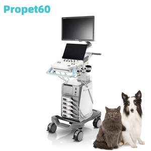 Sonoscape 21.5 pouces moniteur couleur Doppler système d'<span class=keywords><strong>échographie</strong></span> de Diagnostic ProPet60 avec microconvexe pour animal - Product Image 2