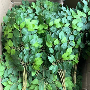 أغصان الأشجار المزخرفة بنيان فيكوس 3 فروع صناعية محاكاة أوراق نباتات حمراء لزينة الزفاف - Product Image 2