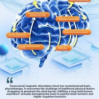 Appareil de beauté anti-âge 5D pour le cerveau, stimulation quantique métallique, thérapie physique, massage débloquant pour la tête, le cuir chevelu et les cheveux