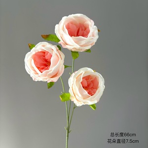 Fleurs en soie imprimées en 3D de haute qualité, simulation rose, pour décoration de <span class=keywords><strong>mariage</strong></span>, chapelle, plafond, allée, accessoires de photographie extérieure - Product Image 6