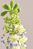 Tanaman Hyacinth Buatan dalam Pot, Bunga Hyacinth Palsu Bonsai, Pot Bunga Palsu untuk Meja di Rumah, Kantor, Pernikahan, Dalam Ruangan