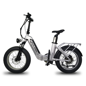 Pin kép 20Ah 22ah 24ah 26Ah 20 inch chất béo lốp xe 350W 500W 750W 1000W trung tâm động cơ E xe đạp có thể gập lại E xe đạp - Product Image 2