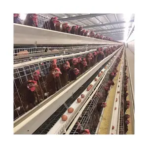 Automatic Poultry Farm Battery Cage Good Price Automatic Poultry Farm Equipment Battery Layer Chicken A Type Cage For Sale